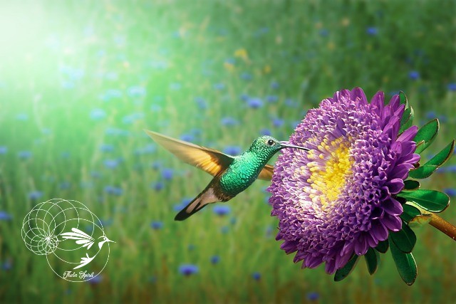 theta healing zagreb